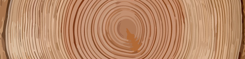 What's The Best Wood To Burn In Your Stove?